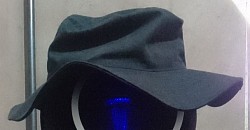 $17
